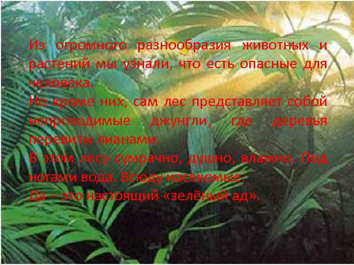 Из огромного разнообразия животных и растений мы узнали, что есть опасные для человека. Но