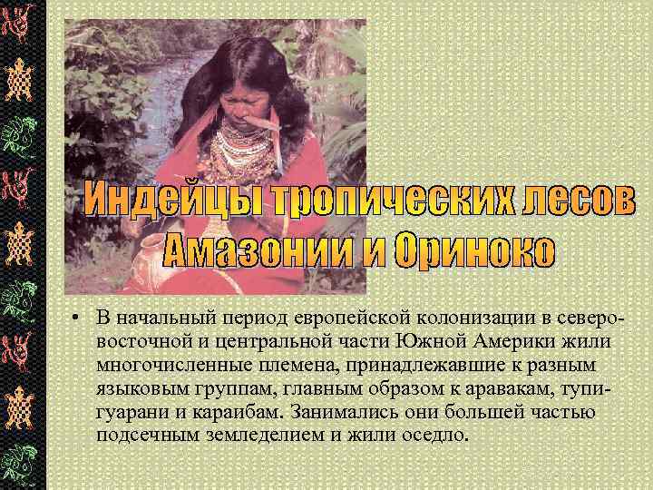  • В начальный период европейской колонизации в северовосточной и центральной части Южной Америки