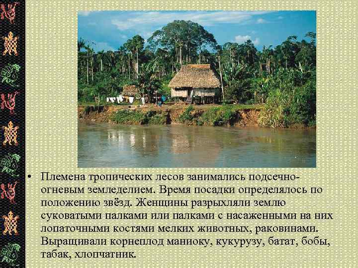  • Племена тропических лесов занимались подсечноогневым земледелием. Время посадки определялось по положению звёзд.
