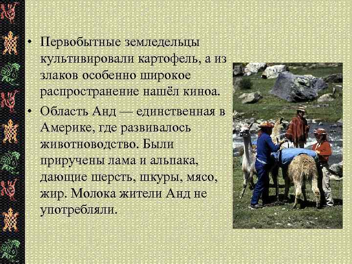  • Первобытные земледельцы культивировали картофель, а из злаков особенно широкое распространение нашёл киноа.