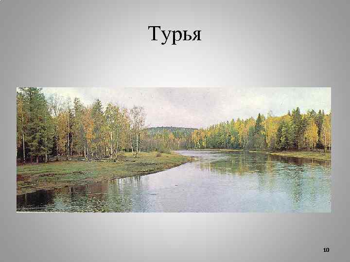 Турья 10 