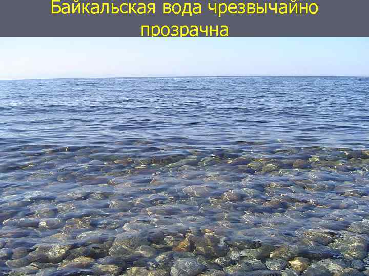 Байкальская вода чрезвычайно прозрачна 