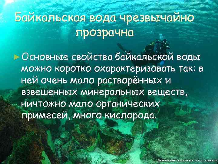Байкальская вода чрезвычайно прозрачна ► Основные свойства байкальской воды можно коротко охарактеризовать так: в