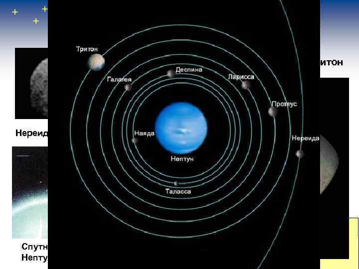 Спутники Нептуна Спутник Нептуна Тритон Нереида Спутники и кольца Нептуна 
