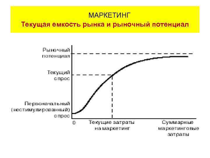 МАРКЕТИНГ Текущая емкость рынка и рыночный потенциал 