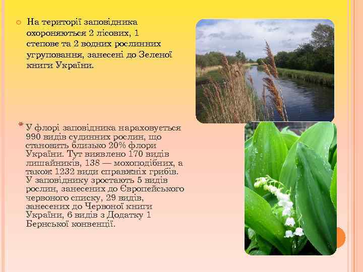  На території заповідника охороняються 2 лісових, 1 степове та 2 водних рослинних угруповання,