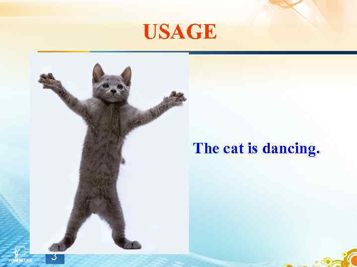 USAGE The cat is dancing. 3 