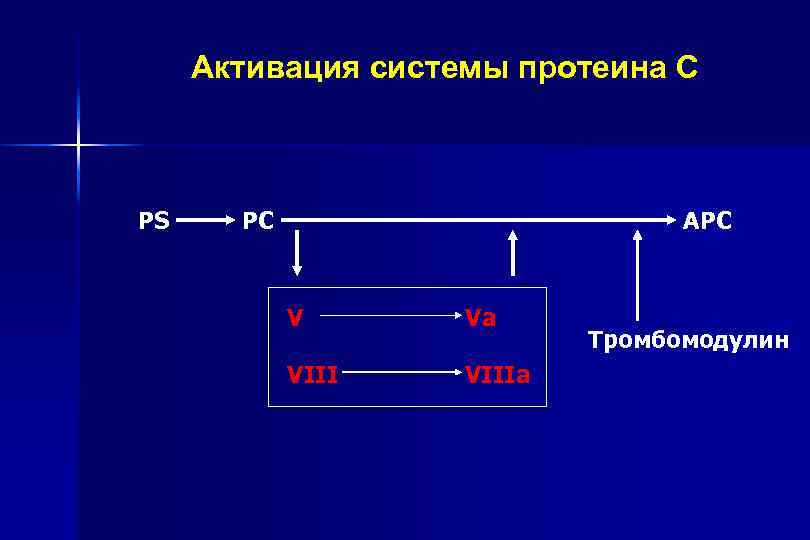 Активация системы протеина С PS PC APC V Va VIIIa Тромбомодулин 