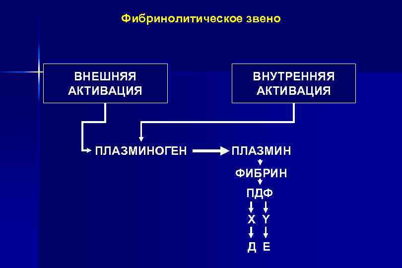 Фибринолитическое звено ВНЕШНЯЯ АКТИВАЦИЯ ПЛАЗМИНОГЕН ВНУТРЕННЯЯ АКТИВАЦИЯ ПЛАЗМИН ФИБРИН ПДФ X Y Д Е