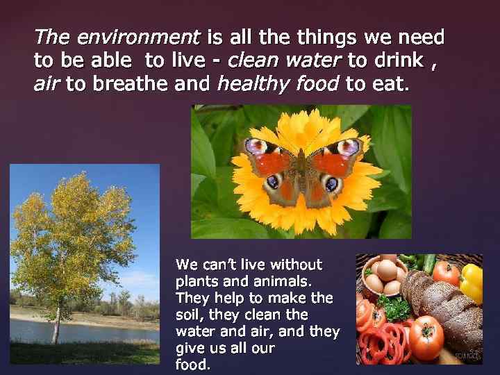 The environment is all the things we need to be able to live -