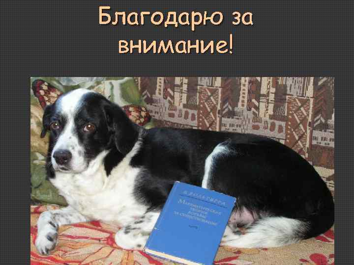 Благодарю за внимание! 