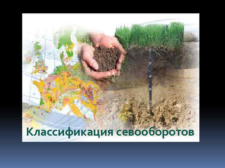 Классификация севооборотов 