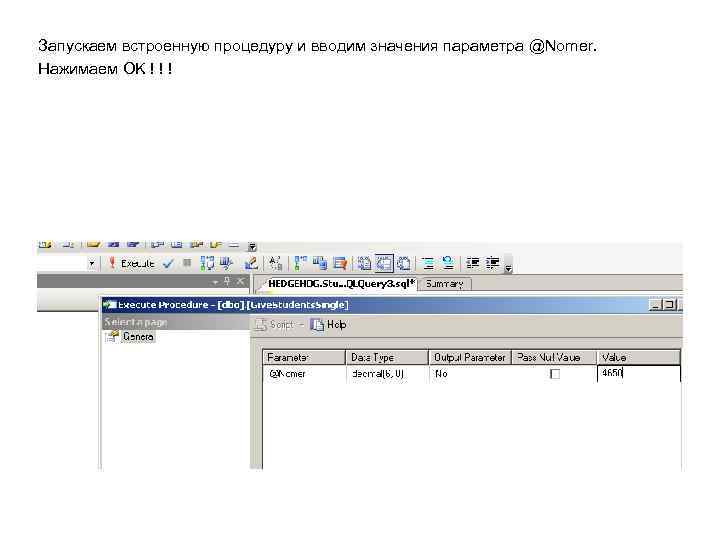Запускаем встроенную процедуру и вводим значения параметра @Nomer. Нажимаем OK ! ! ! 