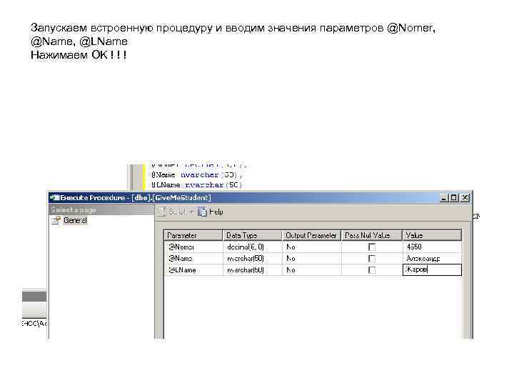 Запускаем встроенную процедуру и вводим значения параметров @Nomer, @Name, @LName Нажимаем OK ! !