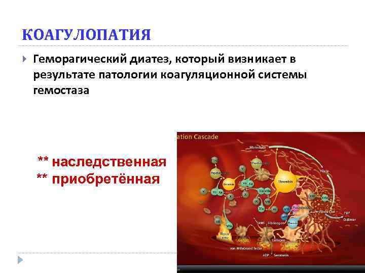 КОАГУЛОПАТИЯ Геморагический диатез, который визникает в результате патологии коагуляционной системы гемостаза ** наследственная **