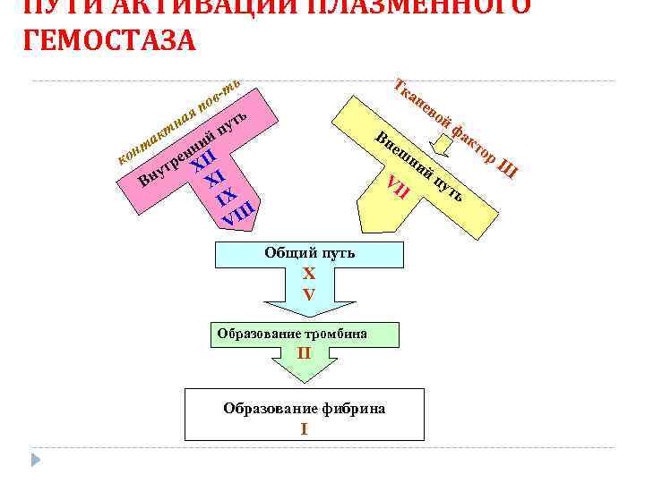 ПУТИ АКТИВАЦИИ ПЛАЗМЕННОГО ГЕМОСТАЗА Тк ан ев ой фа Вн кт еш ор ни