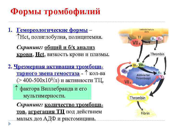 Формы тромбофилий 1. Гемореологические формы – Hct, полиглобулия, полицитемия. Скрининг: общий и б/х анализ