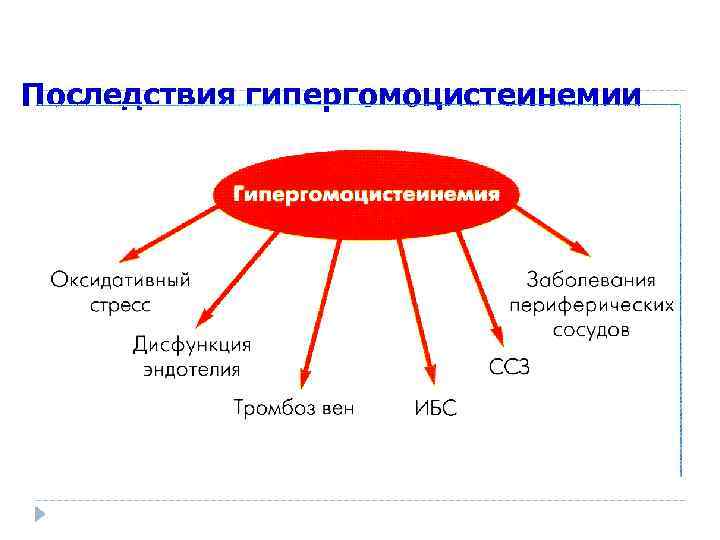 Последствия гипергомоцистеинемии В. В. Вельков, 2007 