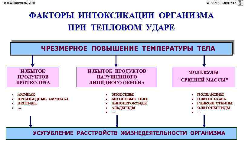 © П. Ф. Литвицкий, 2004 © ГЭОТАР-МЕД, 2004 ФАКТОРЫ ИНТОКСИКАЦИИ ОРГАНИЗМА ПРИ ТЕПЛОВОМ УДАРЕ