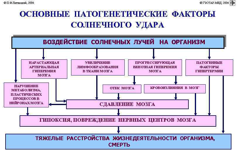 © П. Ф. Литвицкий, 2004 © ГЭОТАР-МЕД, 2004 ОСНОВНЫЕ ПАТОГЕНЕТИЧЕСКИЕ ФАКТОРЫ СОЛНЕЧНОГО УДАРА ВОЗДЕЙСТВИЕ