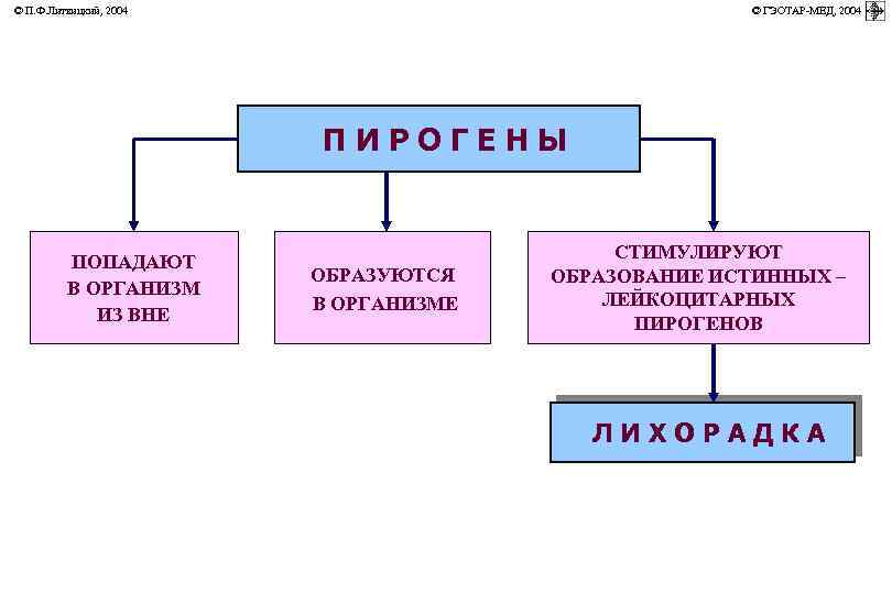 © П. Ф. Литвицкий, 2004 © ГЭОТАР-МЕД, 2004 ПИРОГЕНЫ ПОПАДАЮТ В ОРГАНИЗМ ИЗ ВНЕ