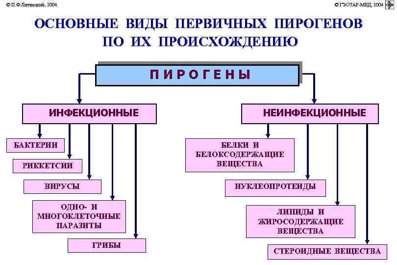 © П. Ф. Литвицкий, 2004 © ГЭОТАР-МЕД, 2004 ОСНОВНЫЕ ВИДЫ ПЕРВИЧНЫХ ПИРОГЕНОВ ПО ИХ