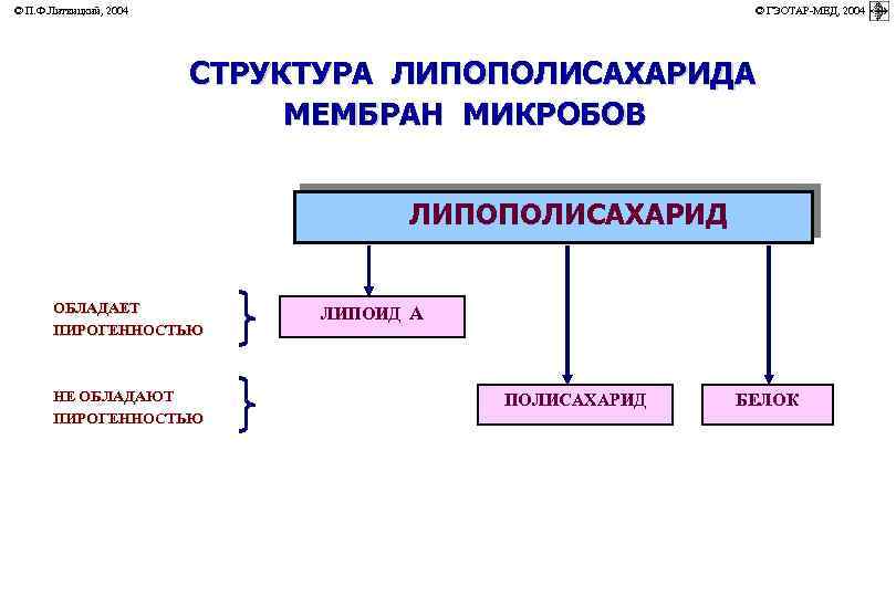 © П. Ф. Литвицкий, 2004 © ГЭОТАР-МЕД, 2004 СТРУКТУРА ЛИПОПОЛИСАХАРИДА МЕМБРАН МИКРОБОВ ЛИПОПОЛИСАХАРИД ОБЛАДАЕТ