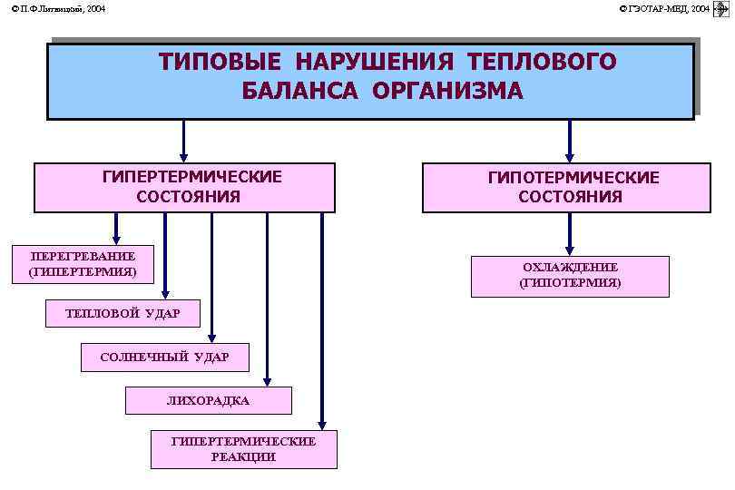 © П. Ф. Литвицкий, 2004 © ГЭОТАР-МЕД, 2004 ТИПОВЫЕ НАРУШЕНИЯ ТЕПЛОВОГО БАЛАНСА ОРГАНИЗМА ГИПЕРТЕРМИЧЕСКИЕ