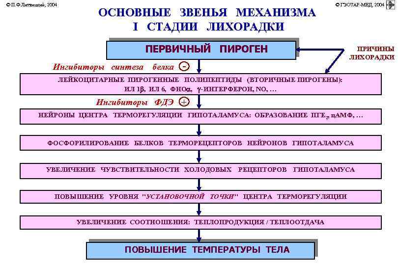 © П. Ф. Литвицкий, 2004 © ГЭОТАР-МЕД, 2004 ОСНОВНЫЕ ЗВЕНЬЯ МЕХАНИЗМА I СТАДИИ ЛИХОРАДКИ