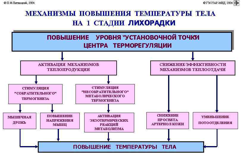 © П. Ф. Литвицкий, 2004 © ГЭОТАР-МЕД, 2004 МЕХАНИЗМЫ ПОВЫШЕНИЯ ТЕМПЕРАТУРЫ ТЕЛА НА 1