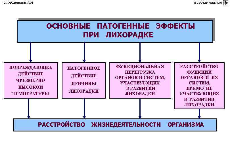 © П. Ф. Литвицкий, 2004 © ГЭОТАР-МЕД, 2004 ОСНОВНЫЕ ПАТОГЕННЫЕ ЭФФЕКТЫ ПРИ ЛИХОРАДКЕ ПОВРЕЖДАЮЩЕЕ