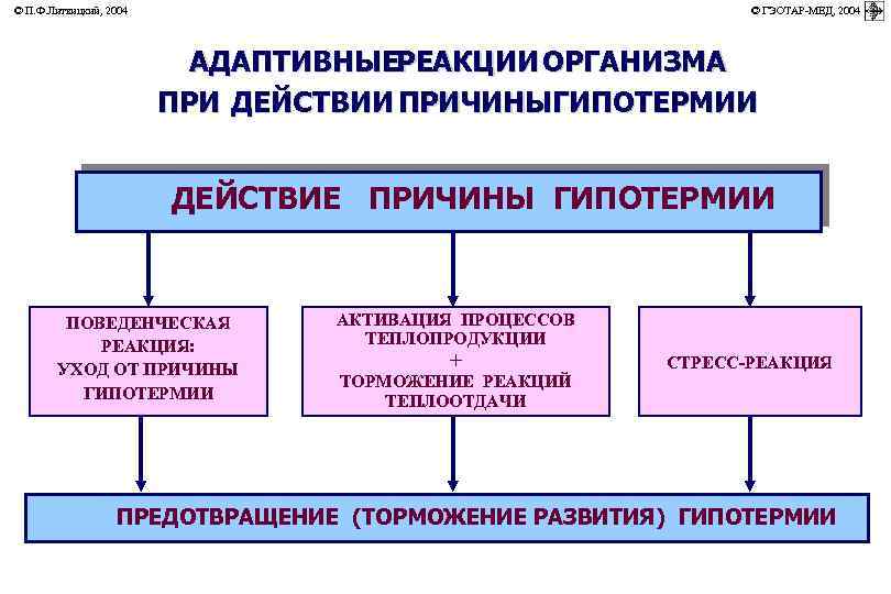 © П. Ф. Литвицкий, 2004 © ГЭОТАР-МЕД, 2004 АДАПТИВНЫЕРЕАКЦИИ ОРГАНИЗМА ПРИ ДЕЙСТВИИ ПРИЧИНЫГИПОТЕРМИИ ДЕЙСТВИЕ