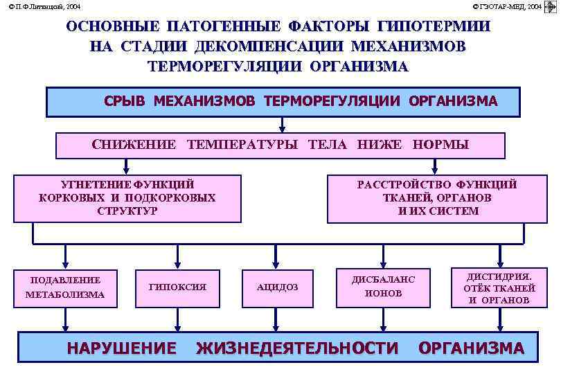 © П. Ф. Литвицкий, 2004 © ГЭОТАР-МЕД, 2004 ОСНОВНЫЕ ПАТОГЕННЫЕ ФАКТОРЫ ГИПОТЕРМИИ НА СТАДИИ