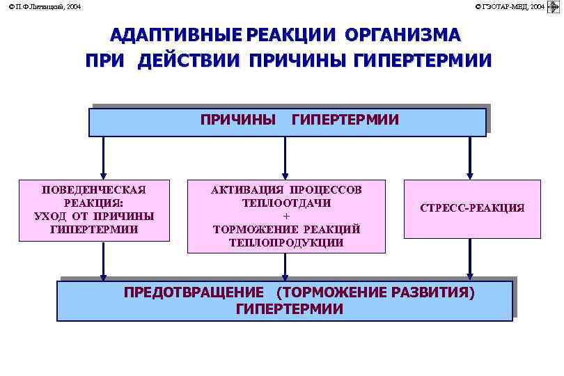 © П. Ф. Литвицкий, 2004 © ГЭОТАР-МЕД, 2004 АДАПТИВНЫЕ РЕАКЦИИ ОРГАНИЗМА ПРИ ДЕЙСТВИИ ПРИЧИНЫ