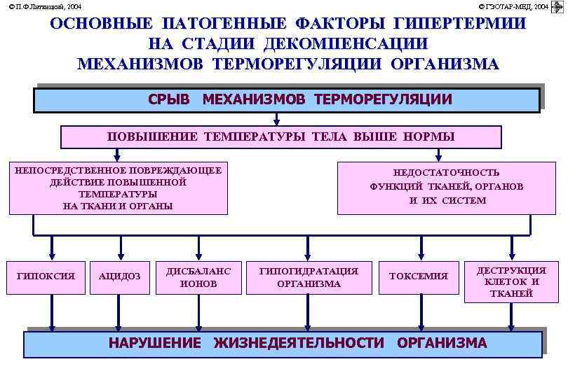 © П. Ф. Литвицкий, 2004 © ГЭОТАР-МЕД, 2004 ОСНОВНЫЕ ПАТОГЕННЫЕ ФАКТОРЫ ГИПЕРТЕРМИИ НА СТАДИИ