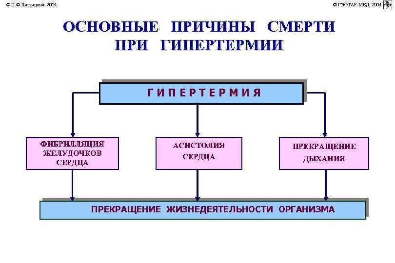 © П. Ф. Литвицкий, 2004 © ГЭОТАР-МЕД, 2004 ОСНОВНЫЕ ПРИЧИНЫ СМЕРТИ ПРИ ГИПЕРТЕРМИЯ ФИБРИЛЛЯЦИЯ