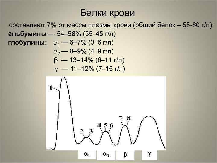 Белки крови составляют 7% от массы плазмы крови (общий белок – 55 -80 г/л):