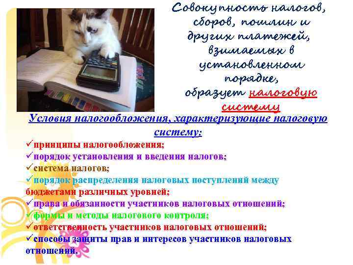 Совокупность налогов, сборов, пошлин и других платежей, взимаемых в установленном порядке, образует налоговую систему