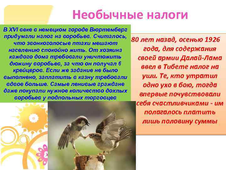 Необычные налоги В XVI веке в немецком городе Вюртемберг придумали налог на воробьев. Считалось,