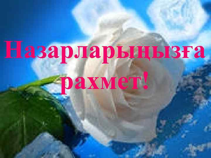 Назарларыңызға рахмет! 