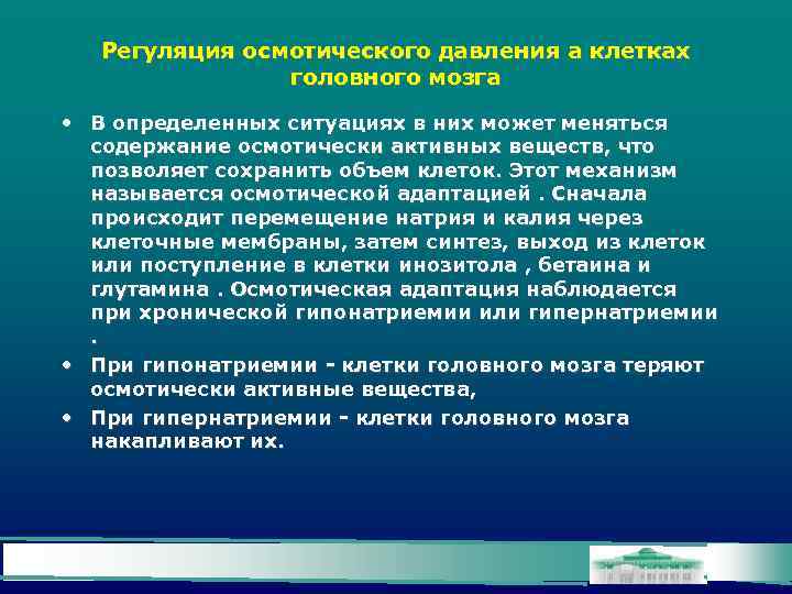 Регуляция осмотического давления а клетках головного мозга • В определенных ситуациях в них может