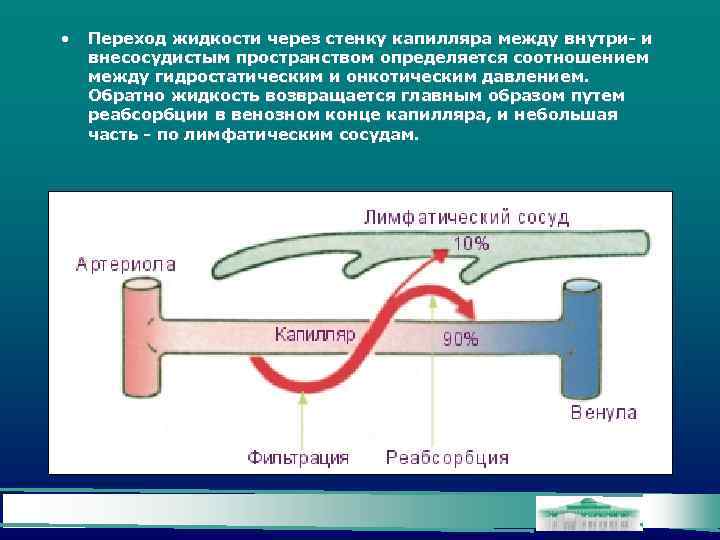  • Переход жидкости через стенку капилляра между внутри- и внесосудистым пространством определяется соотношением