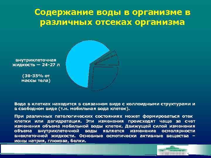 Содержание воды в организме в различных отсеках организма внутриклеточная жидкость — 24 -27 л