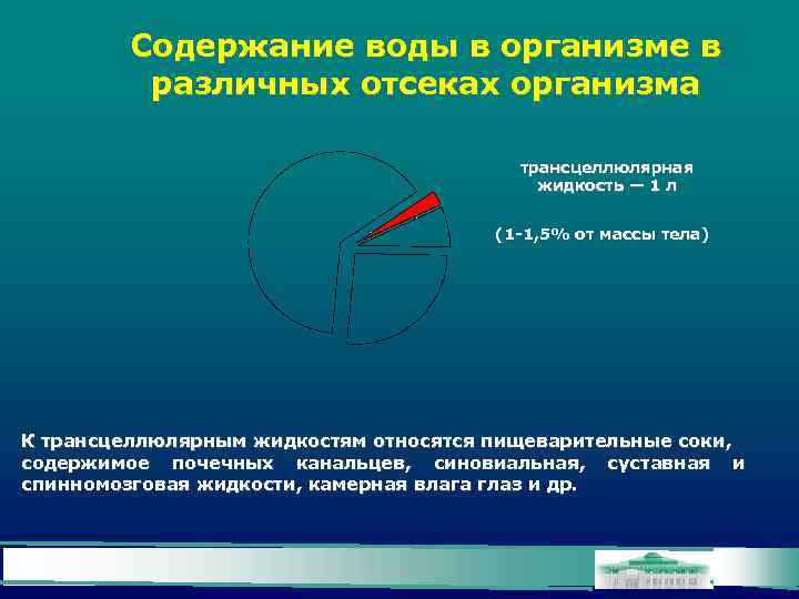 Содержание воды в организме в различных отсеках организма трансцеллюлярная жидкость — 1 л (1