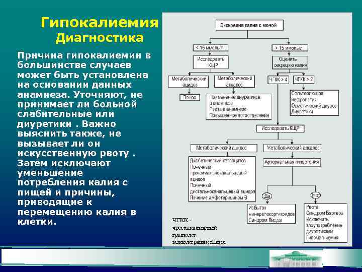 Гипокалиемия Диагностика Причина гипокалиемии в большинстве случаев может быть установлена на основании данных анамнеза.