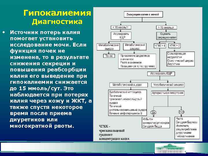 Гипокалиемия Диагностика • Источник потерь калия помогает установить исследование мочи. Если функция почек не