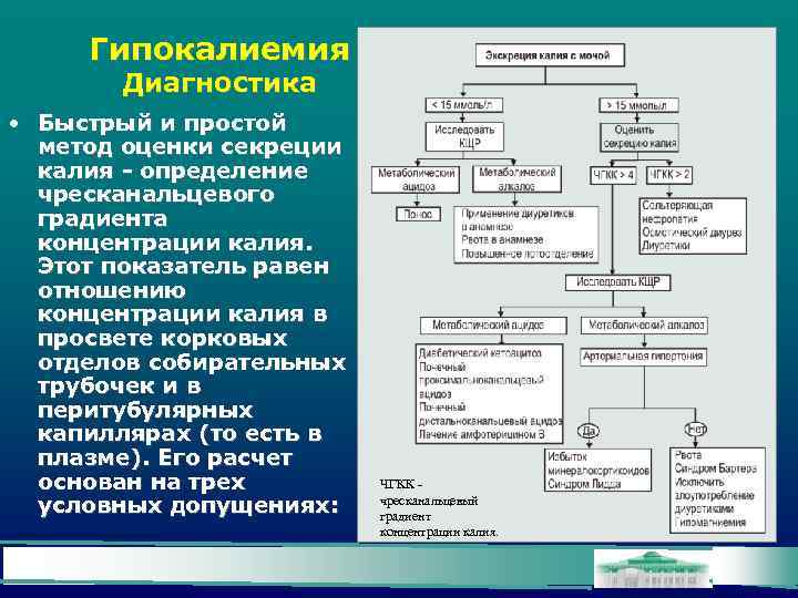 Гипокалиемия Диагностика • Быстрый и простой метод оценки секреции калия - определение чресканальцевого градиента