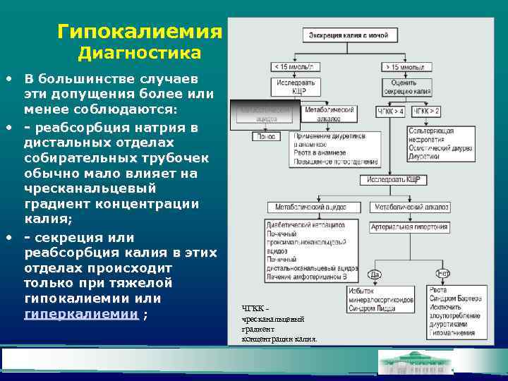 Гипокалиемия Диагностика • В большинстве случаев эти допущения более или менее соблюдаются: • -