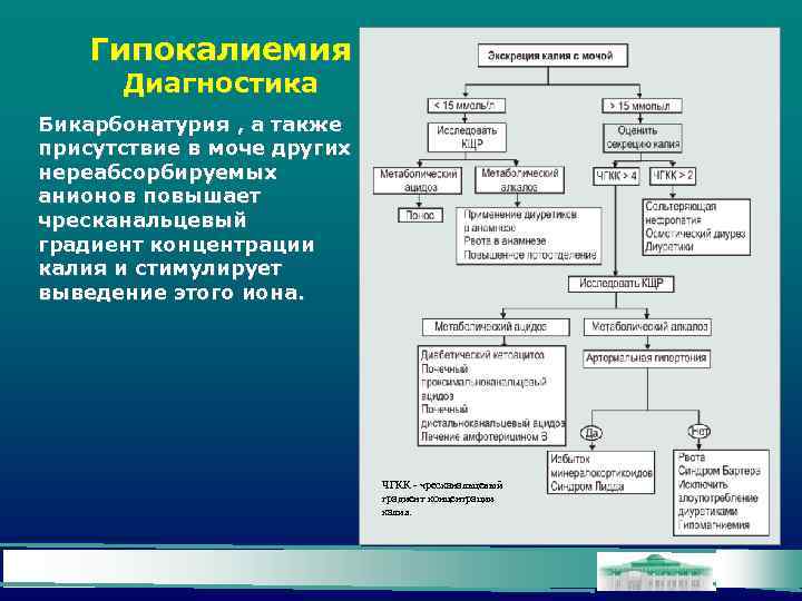 Гипокалиемия Диагностика Бикарбонатурия , а также присутствие в моче других нереабсорбируемых анионов повышает чресканальцевый