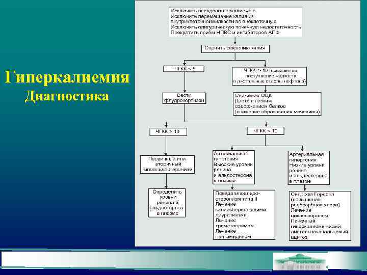 Гиперкалиемия Диагностика 